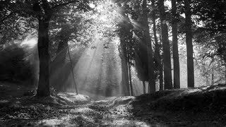 Dawn